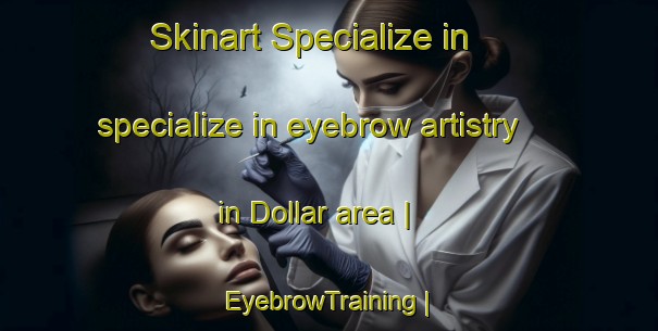 Skinart Specialize in specialize in eyebrow artistry in Dollar area | EyebrowTraining | EyebrowClasses | SkinartTraining-United States